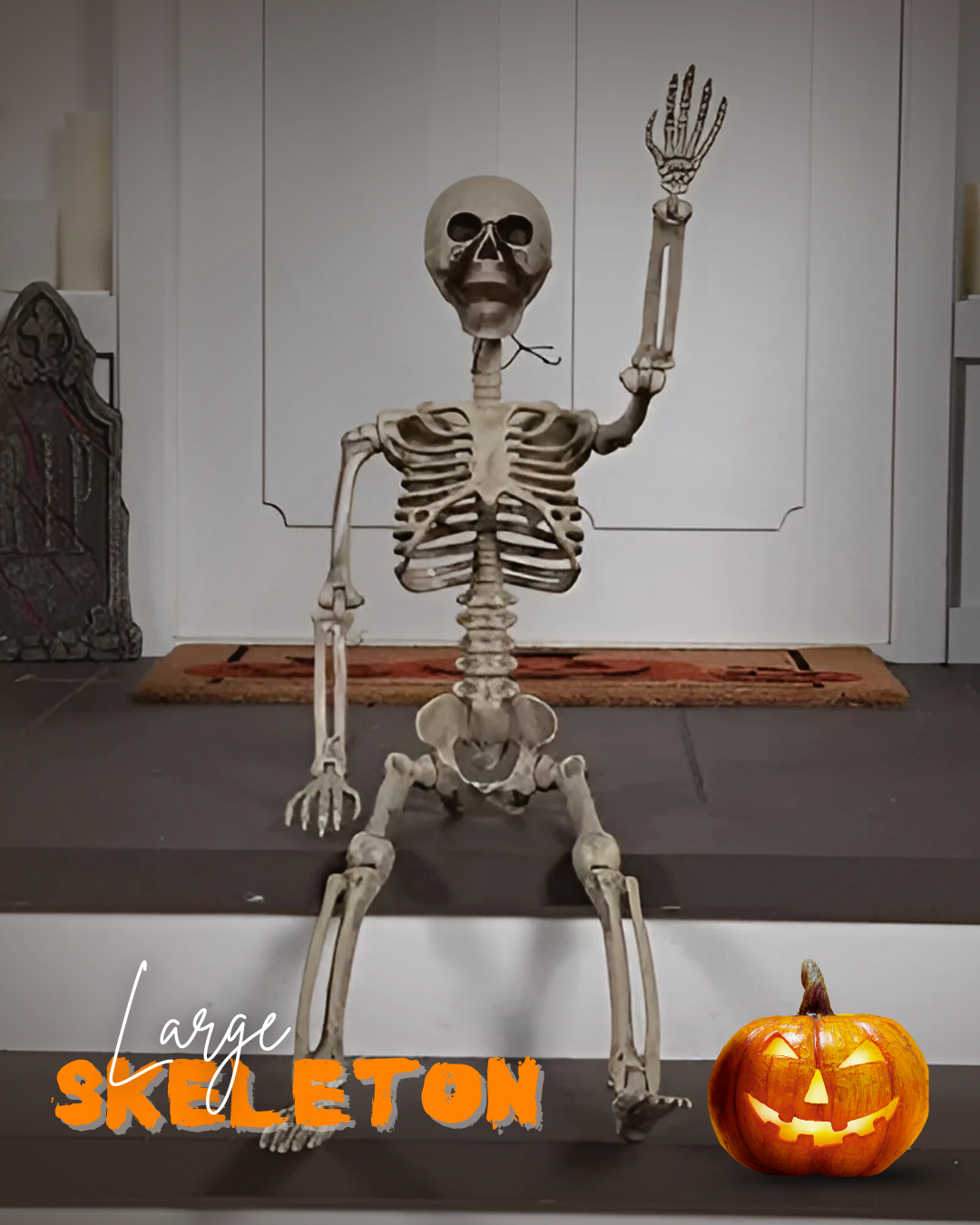 SKELETONS & SKULLS