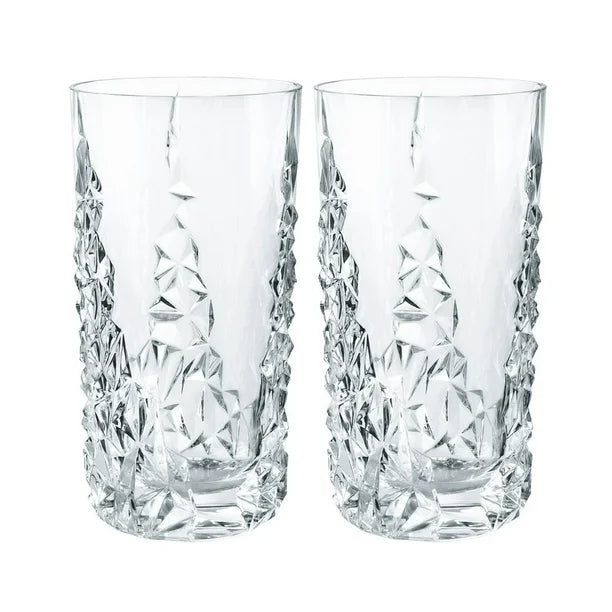 Nachtmann Sculpture 14.8 Oz. Crystal Drinkware Set with 2 Glasses