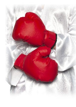 Boxing Gloves Red