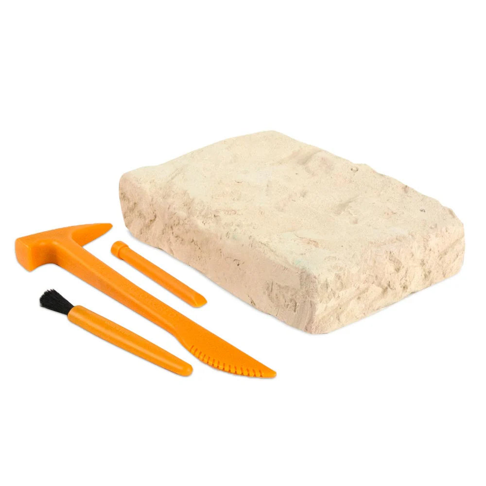 Dino Dig Triceratops Excavation Kit