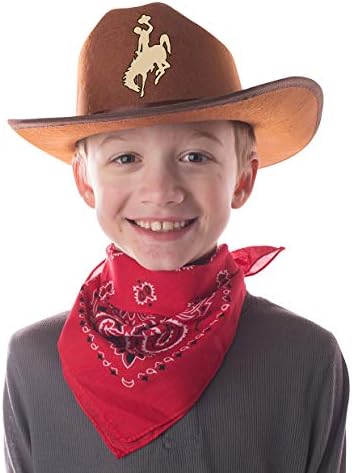 Jr. Cowboy Hat (Brown) w/ Tan Rodeo Cowboy Logo & Red Bandanna