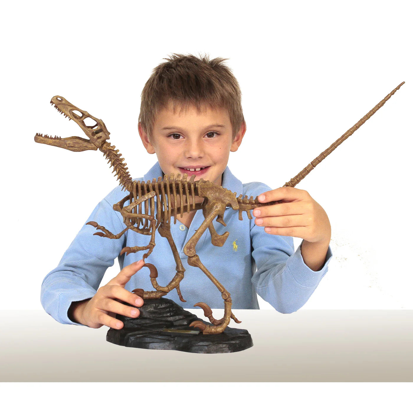 Paleo Expedition Velociraptor Replica Skeleton Kit