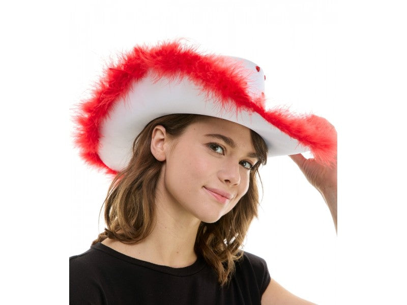 Cowboy hat