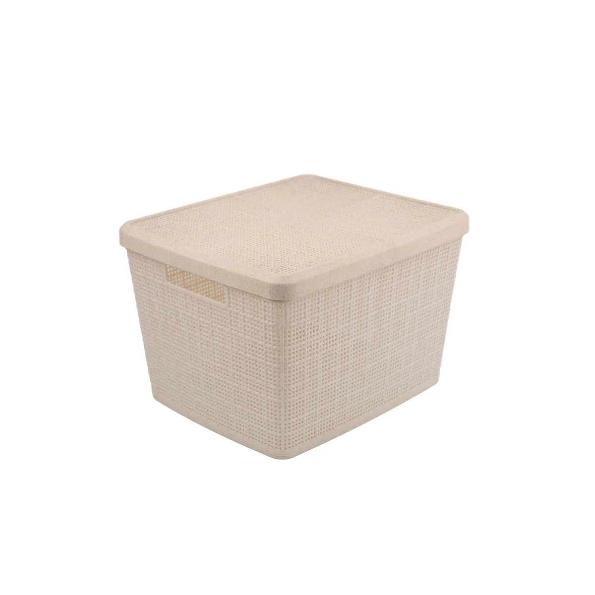Set of 2 Large Wheat Straw Baskets with Lid