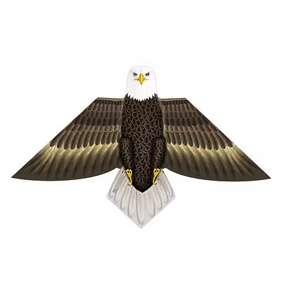 Eagle 54"