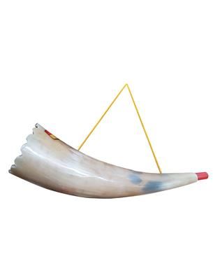 Horn Trumpet
