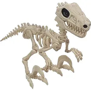 Small Raptor Dino Skeleton 5.5"