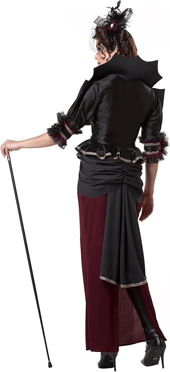 LADY OF THE MANOR COSTUME