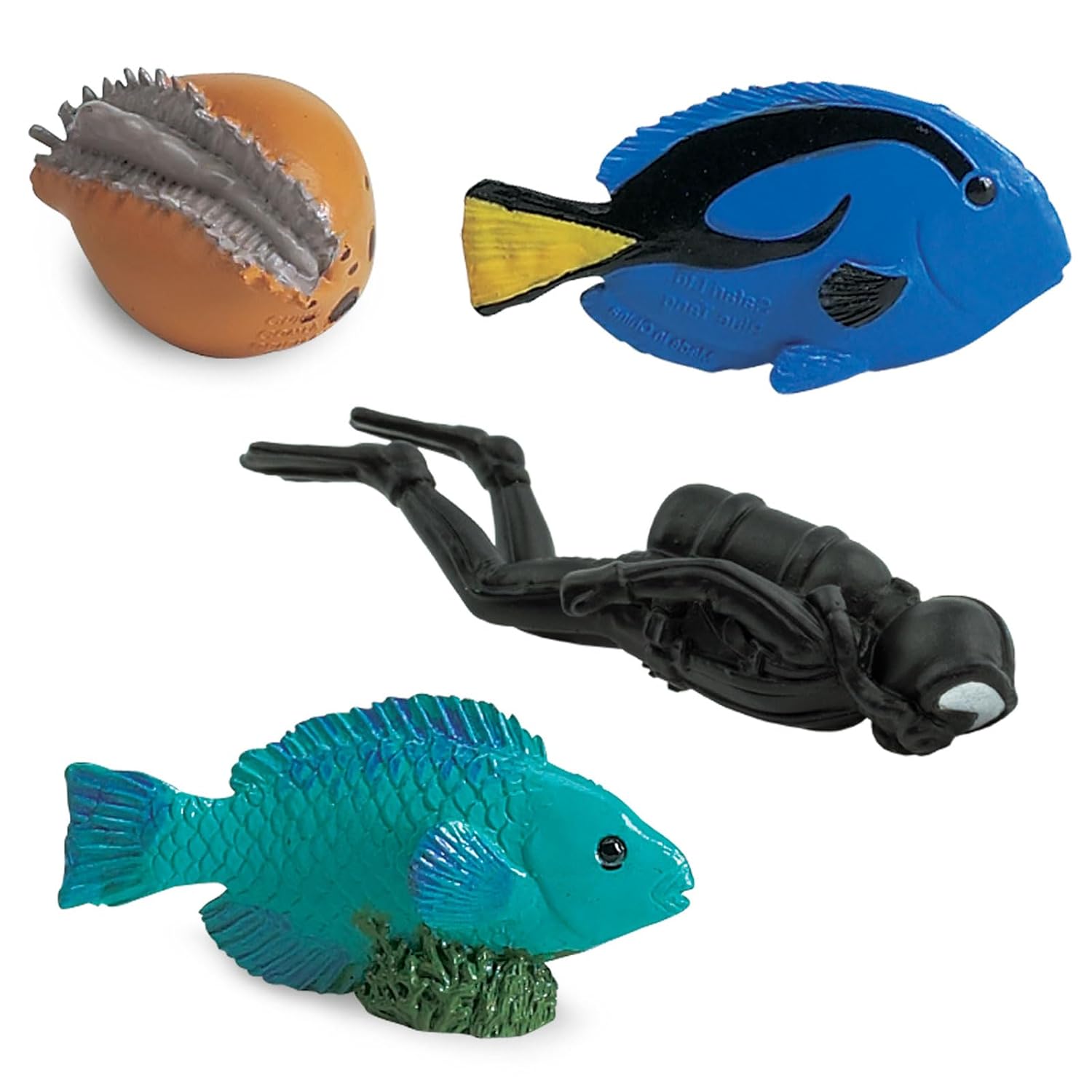 Coral Reef