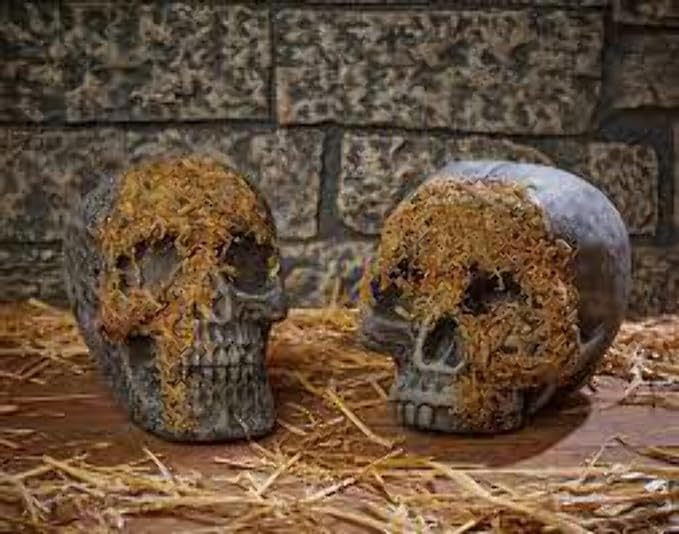 Moss Covered Skull
