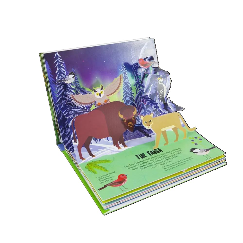 Nature Pop-Up! Forests