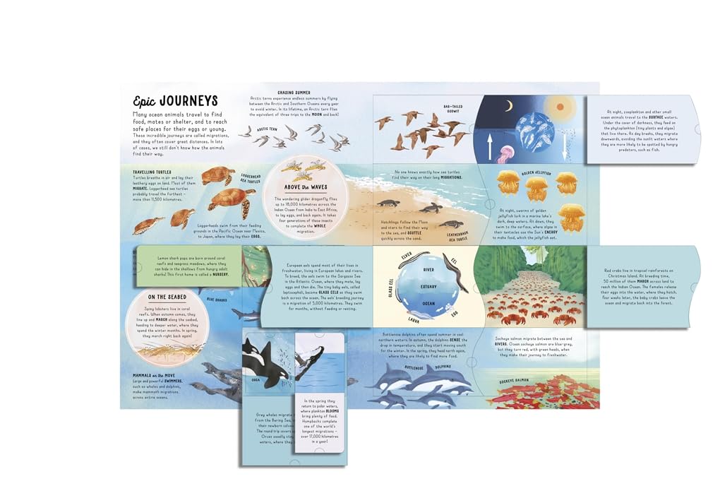 Ultimate Lift the Flap Encyclopedia of Oceans
