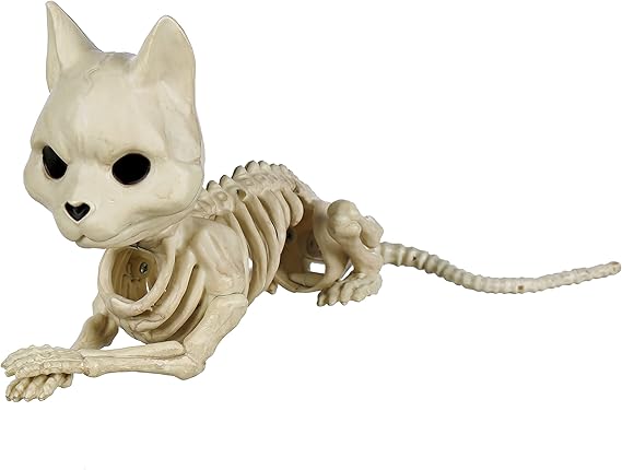 Skeleton Mouse with Cat Face Org 6.6"