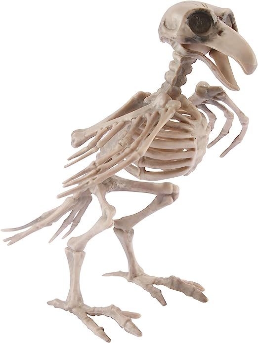 8" Skeleton-Bird