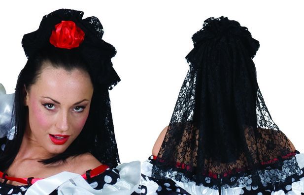 Hairclip with Spanish Lace Veil