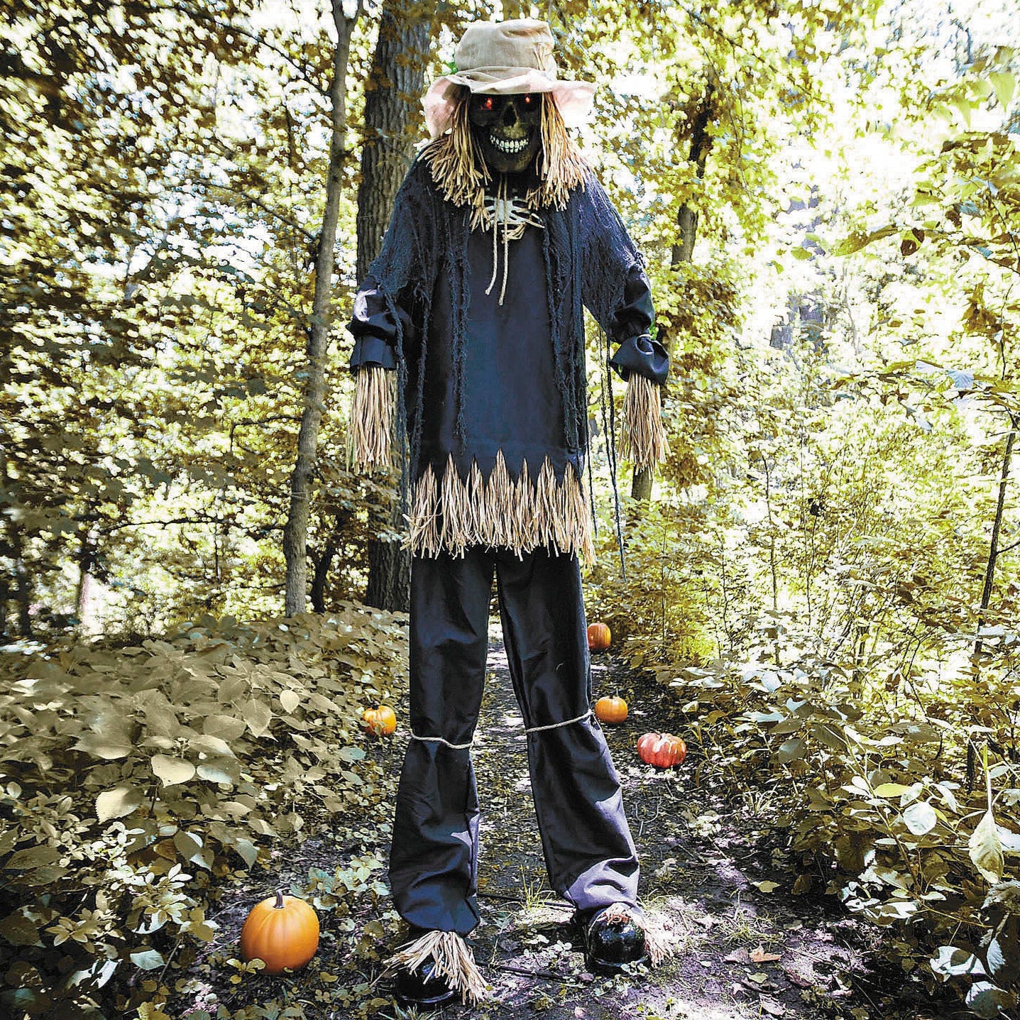7 Ft. 6" Light-Up Lifting Skeleton Scarecrow