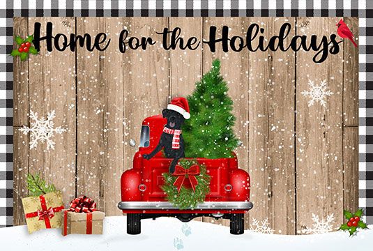 Winter Joy Door Mats Home Holidays