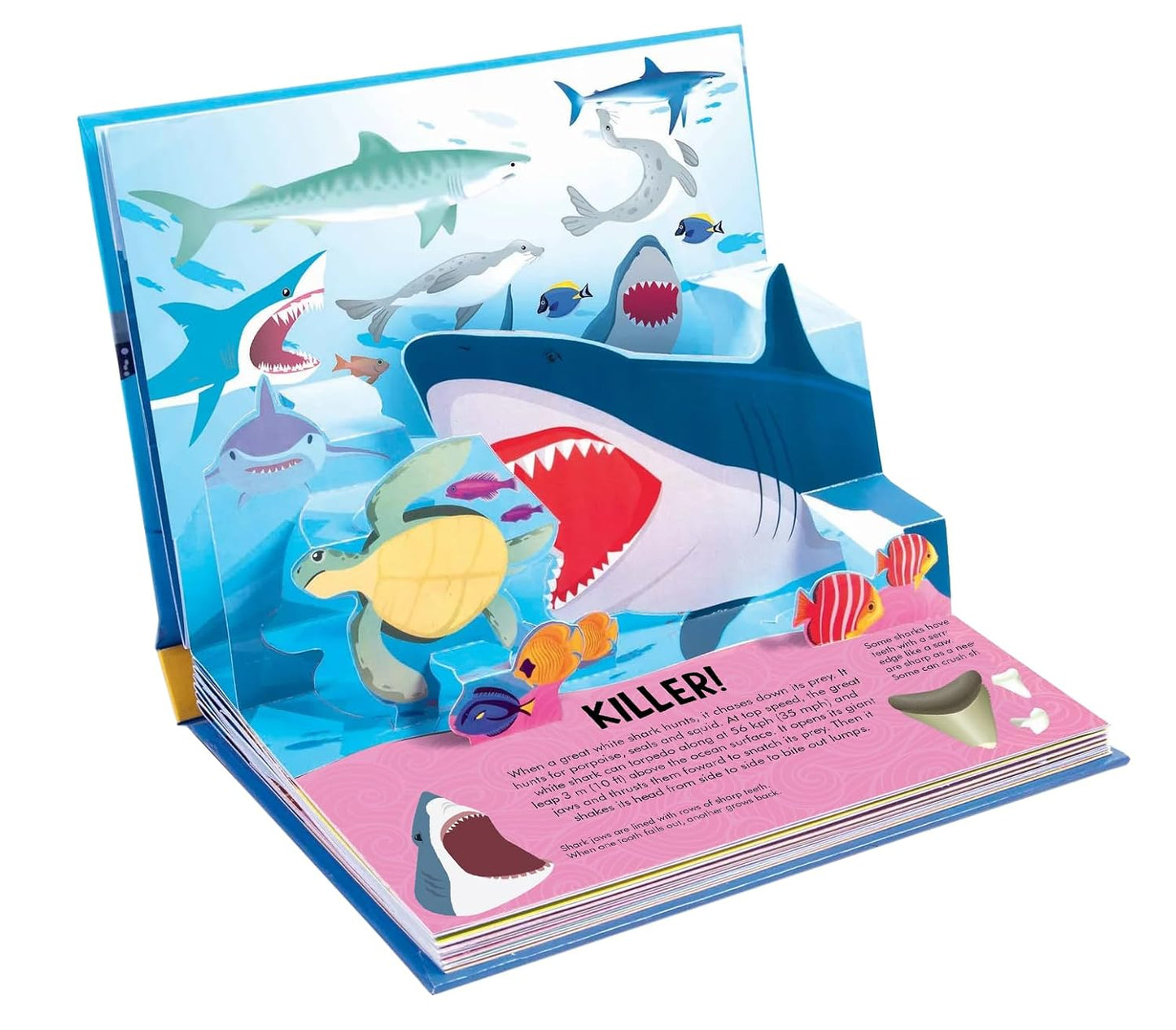 Nature Pop-Up! Sharks