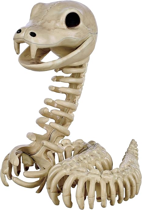 Skeleton Snake 5x5.75x6.5"