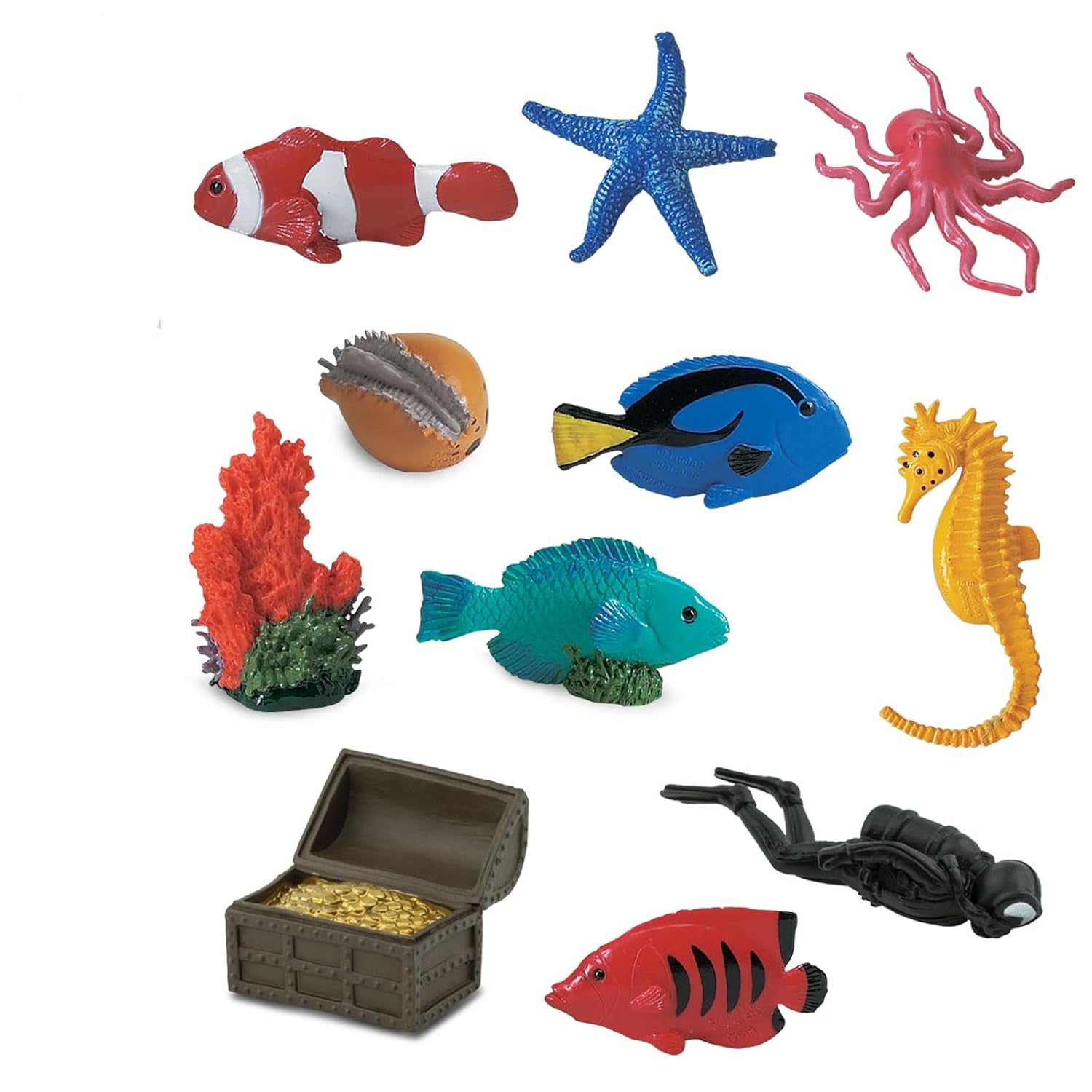 Coral Reef
