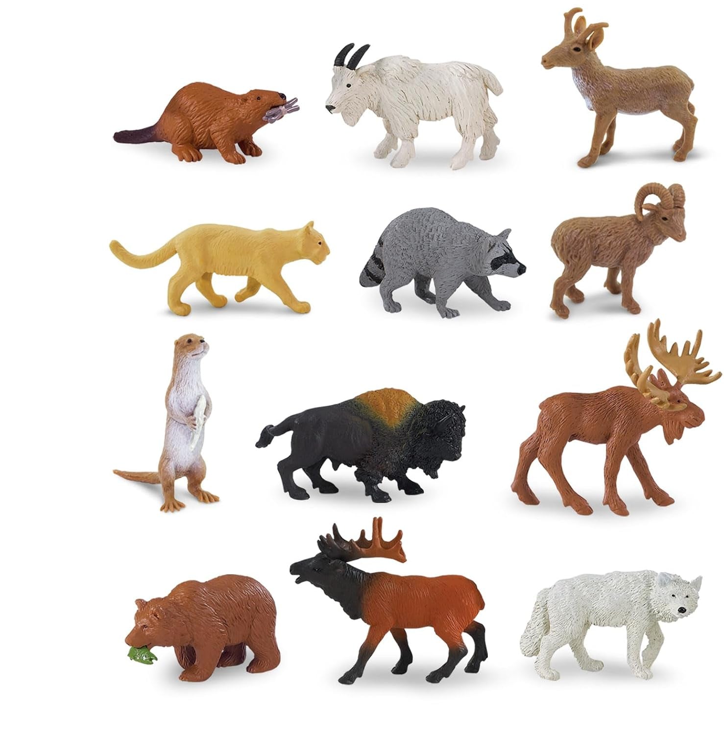North American Wildlife