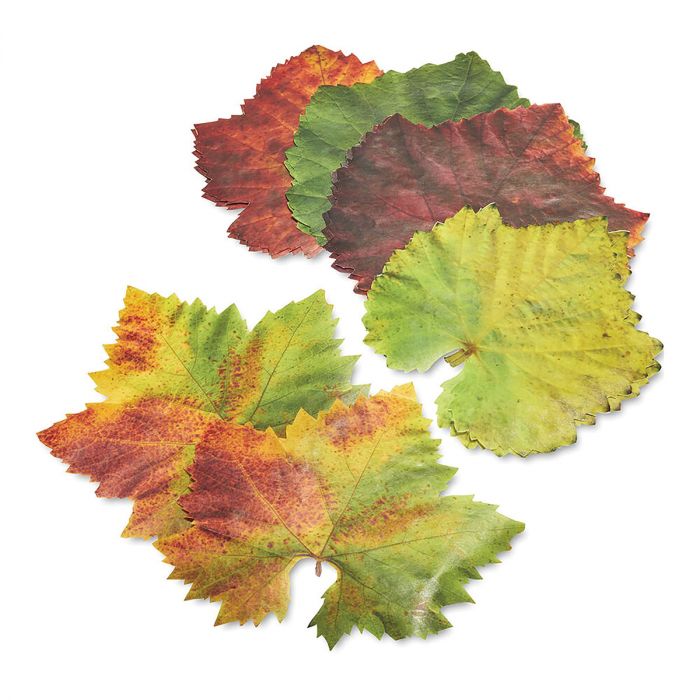 Grape Parchment Leaves Set 20