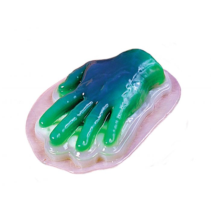 Hand Gelatin Mold