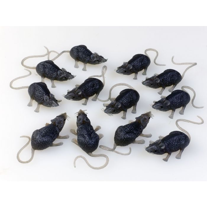 Bag of Mice