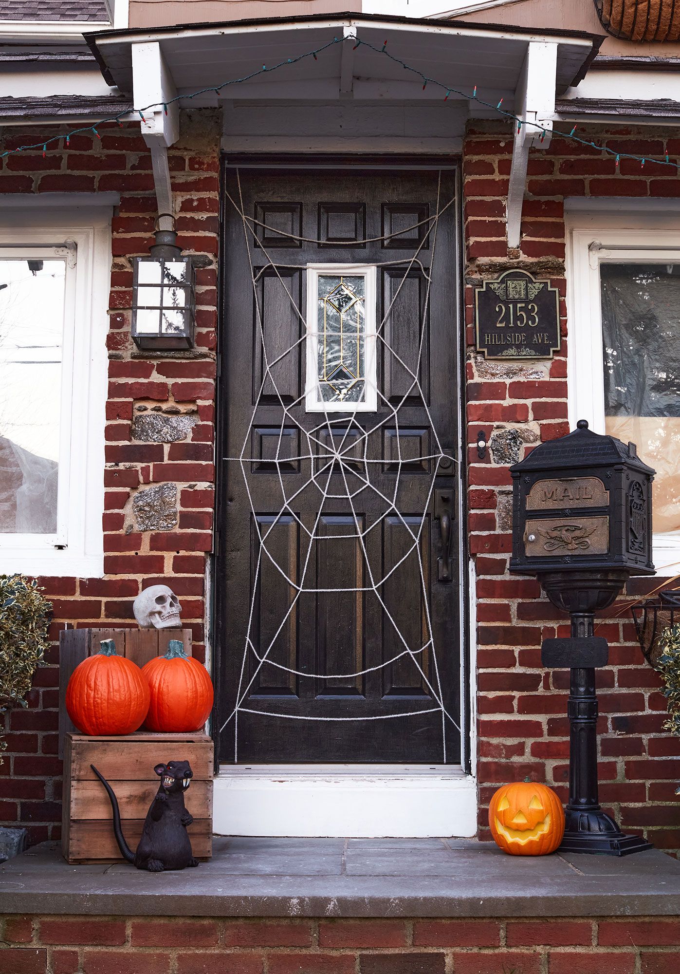 Spider Web Door Cover