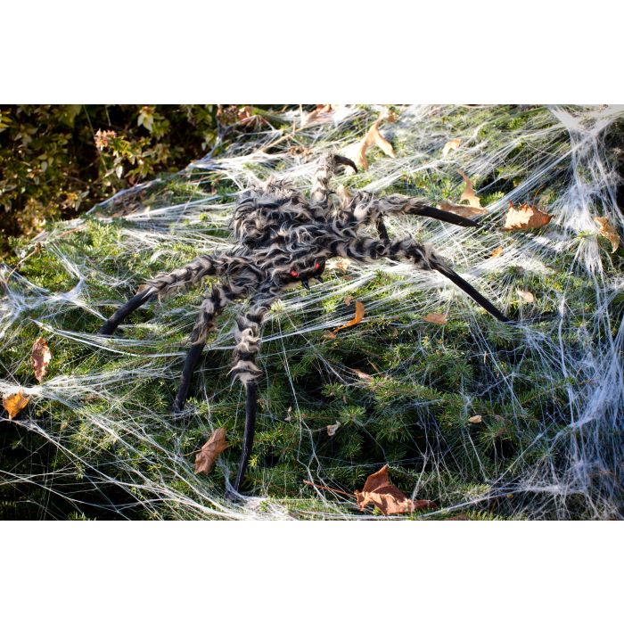 20” Fuzzy Spider Brown