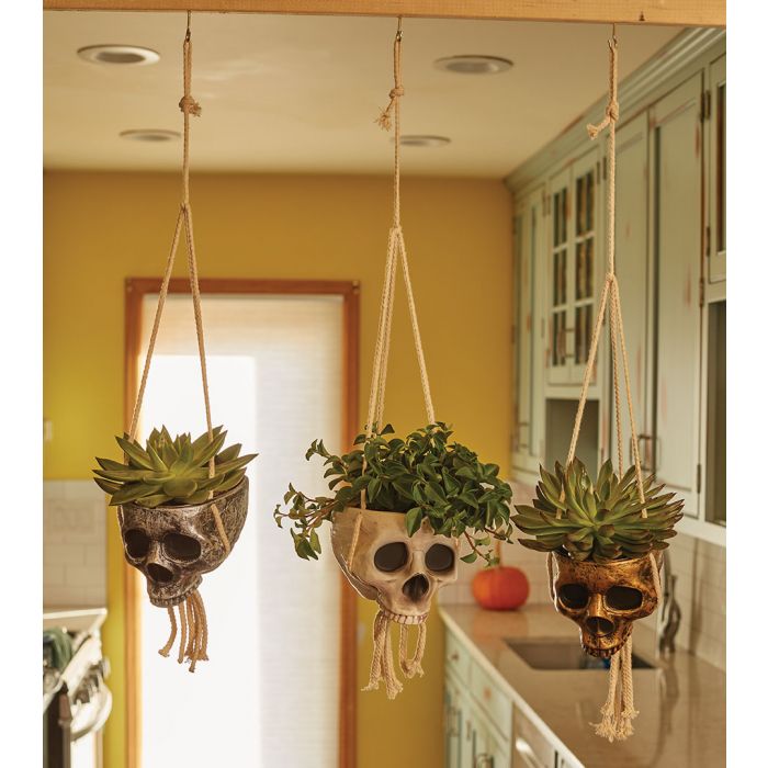 Hanging Skull Planter