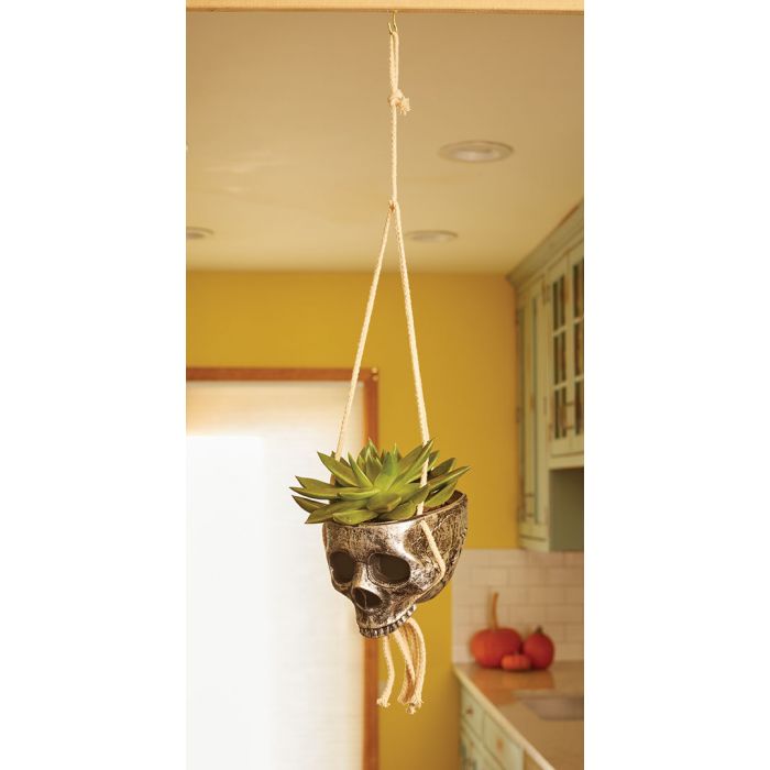 Hanging Skull Planter