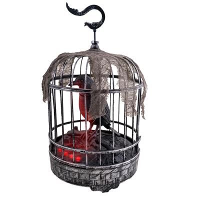 Raven in Cage