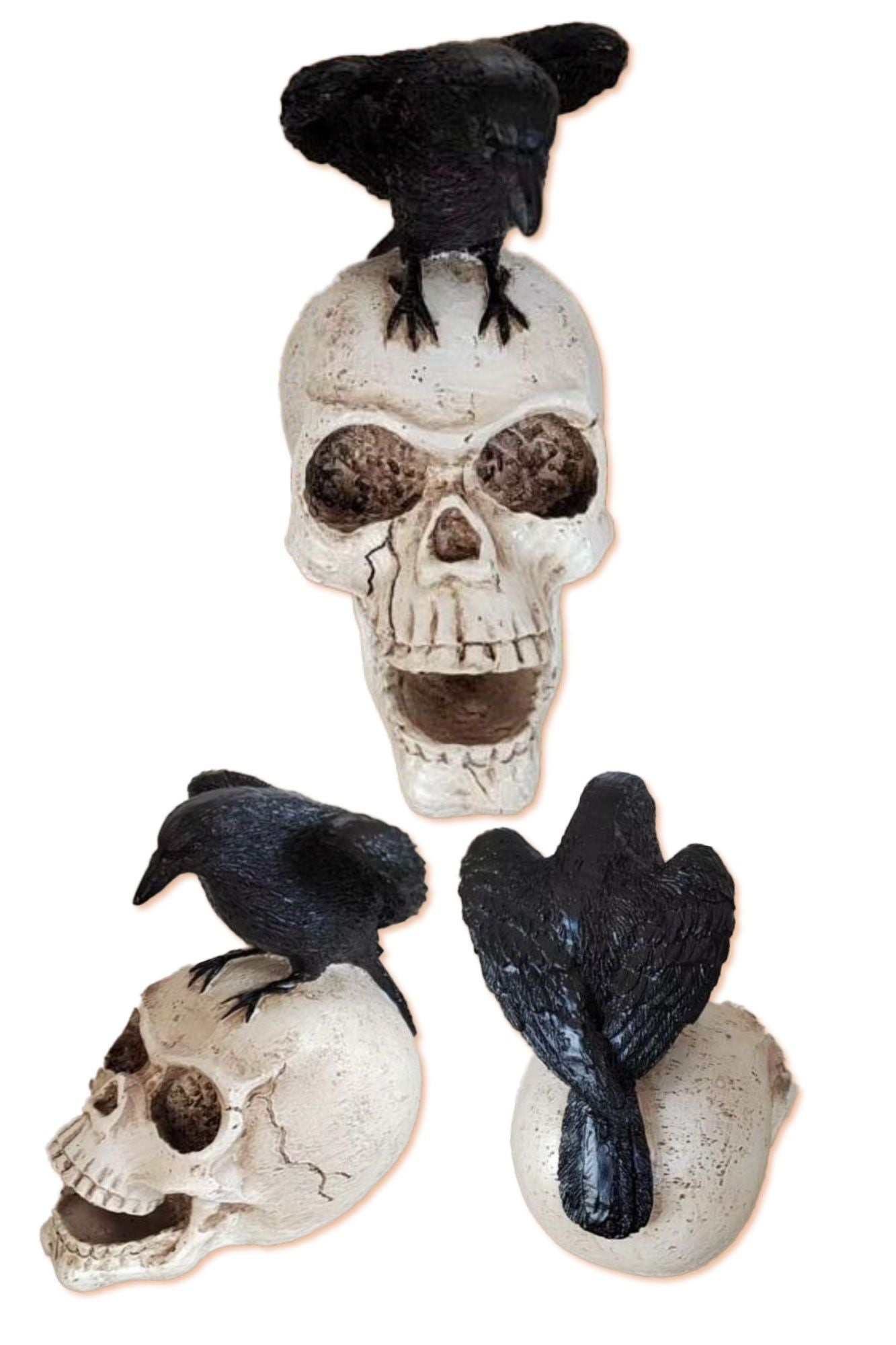 4.75" HH Skull w/ Raven Decor