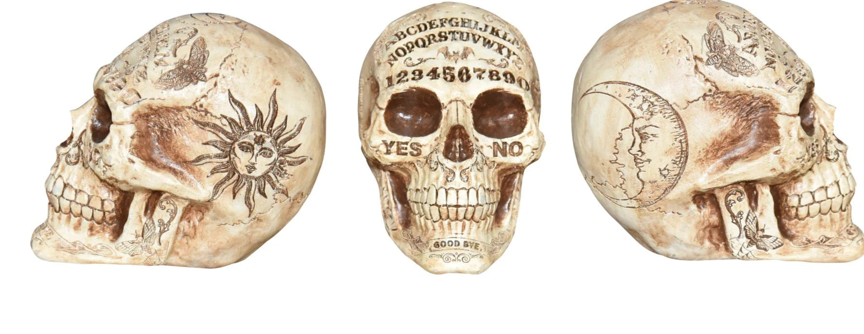 7" Fortune Telling Skull Numbers