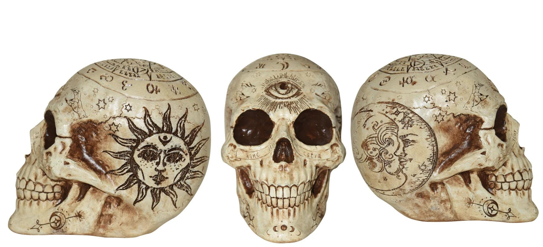 7" Fortune Telling Skull Eye