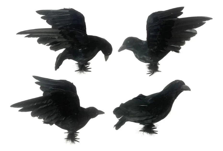 4 Crow