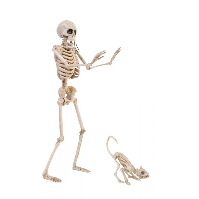14" Skeleton Walker and Cat