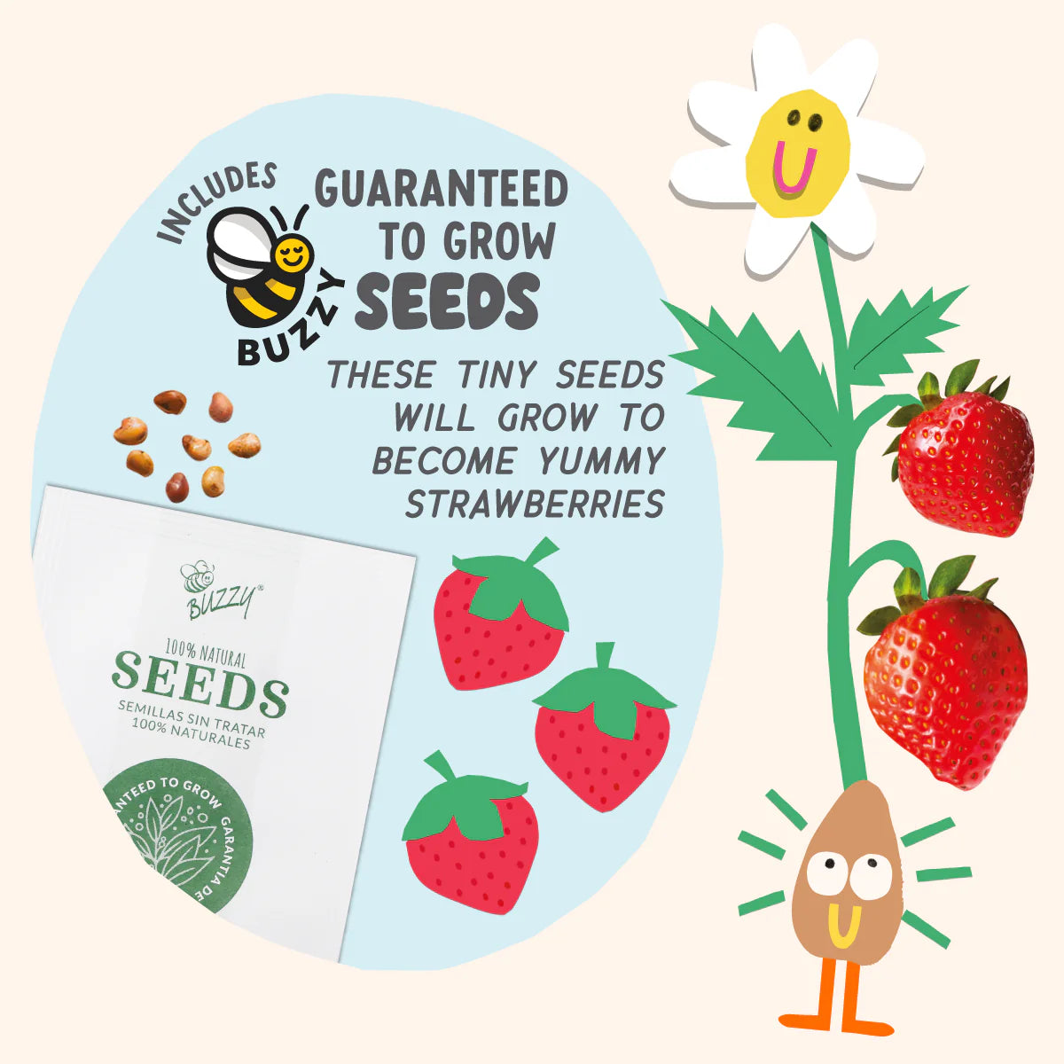 Paint & Grow Strawberry