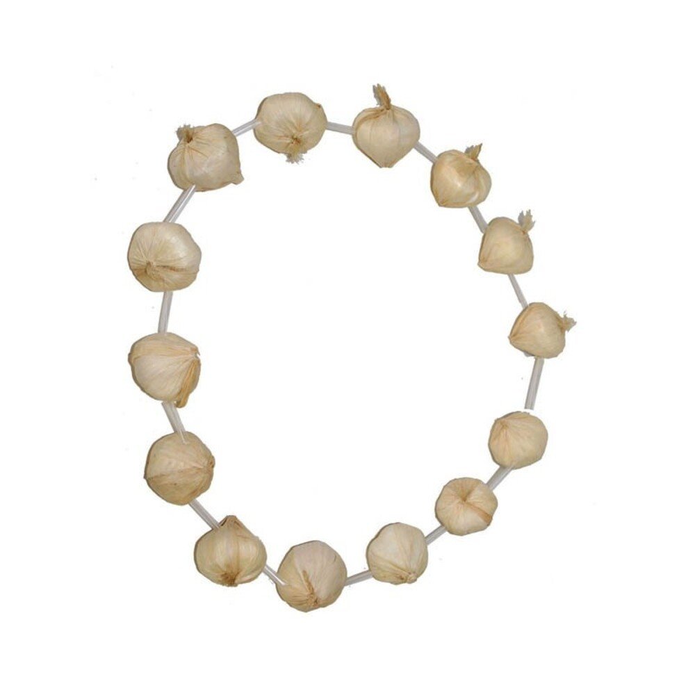 Necklace - Garlic