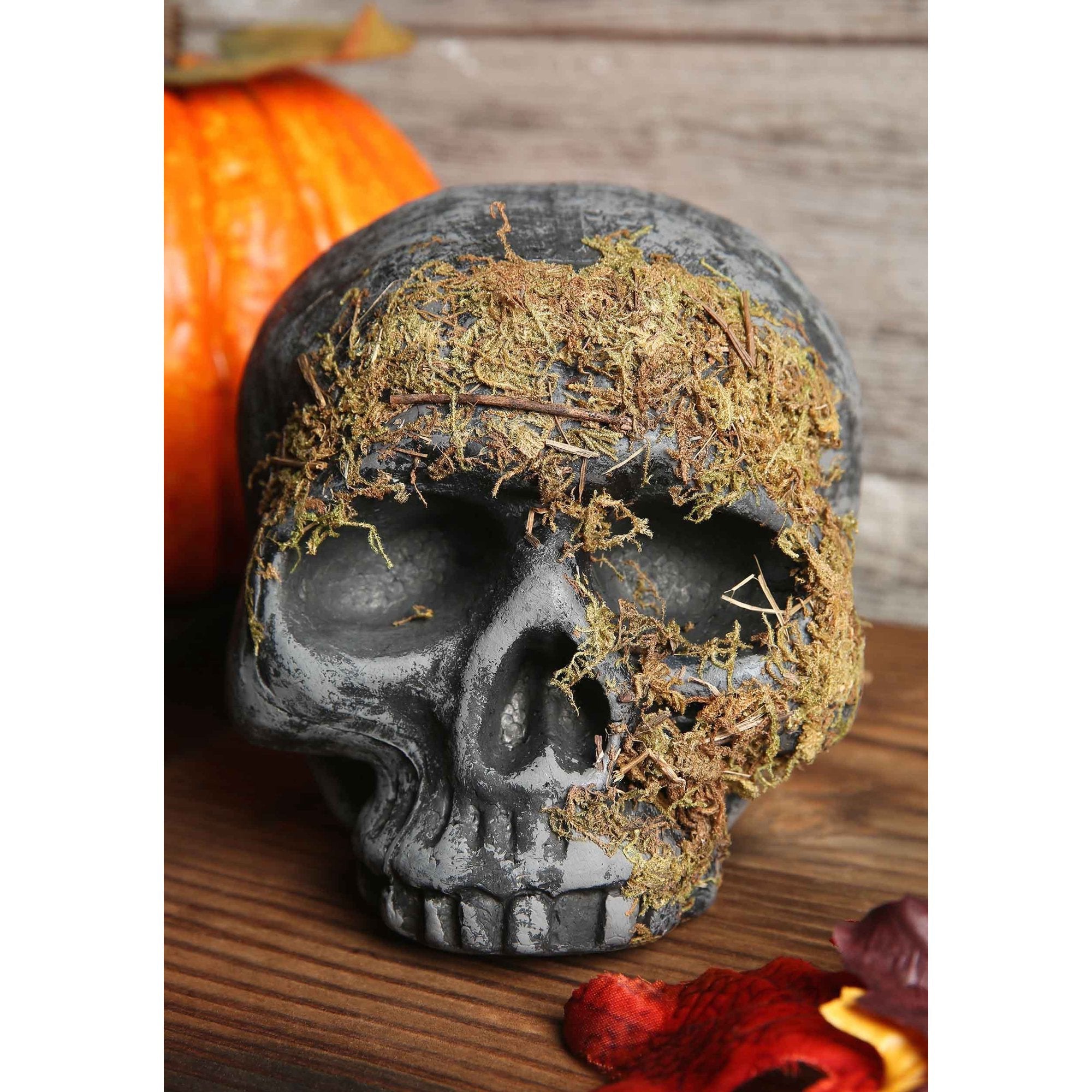 Moss Covered Skull