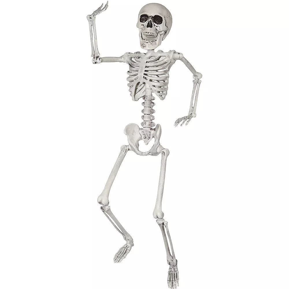 20in Skeleton