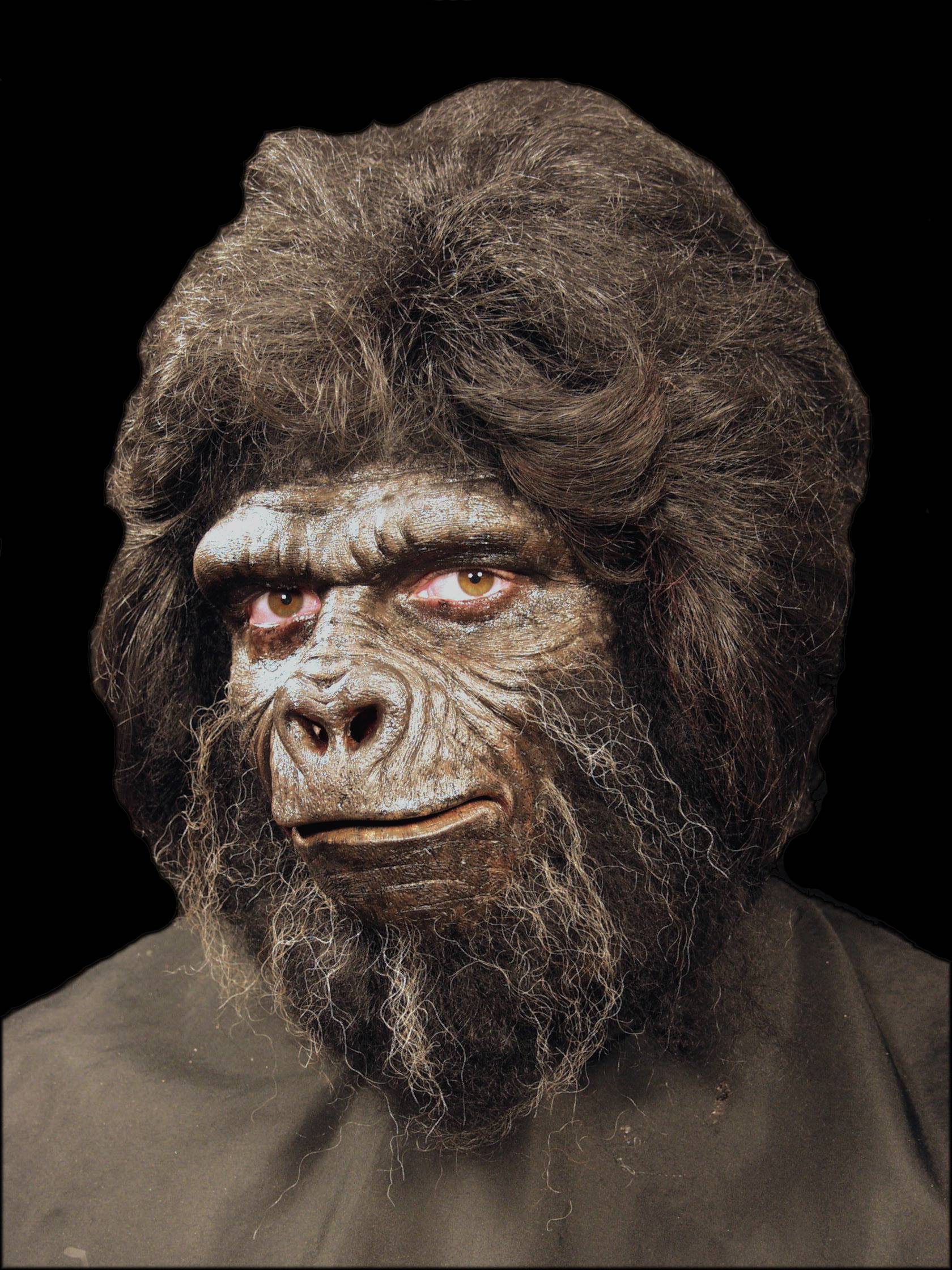Gorilla Foam Latex Prosthetic