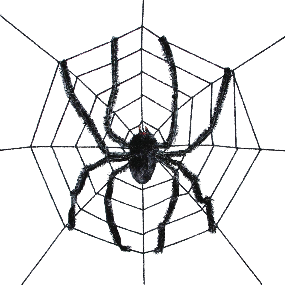 95" White Web w/Black Spider