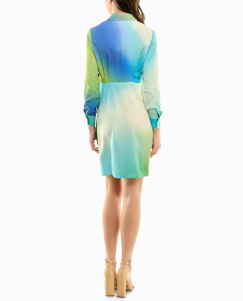 AUDREY SILK LONG SLEEVE SHIRT DRESS