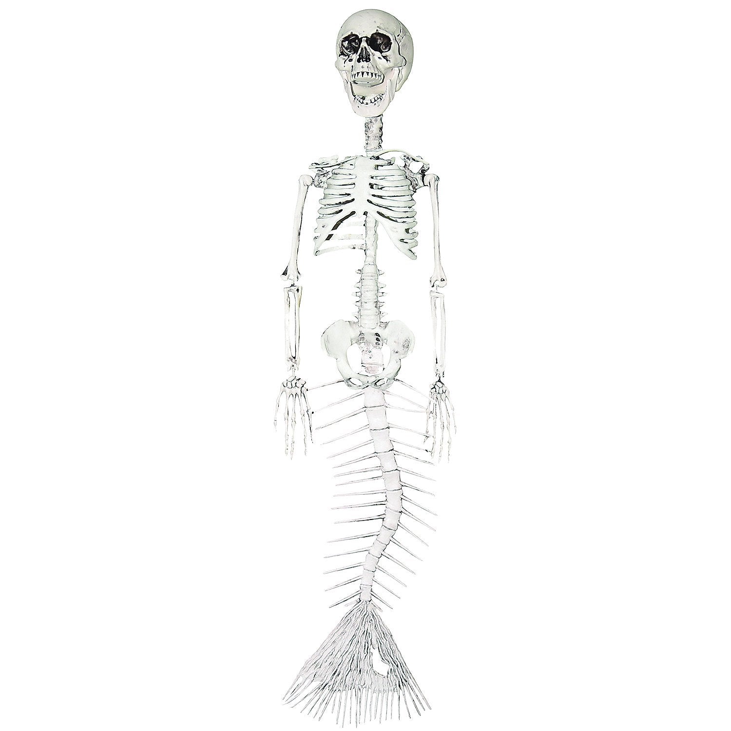16¨ MERMAID SKELETON