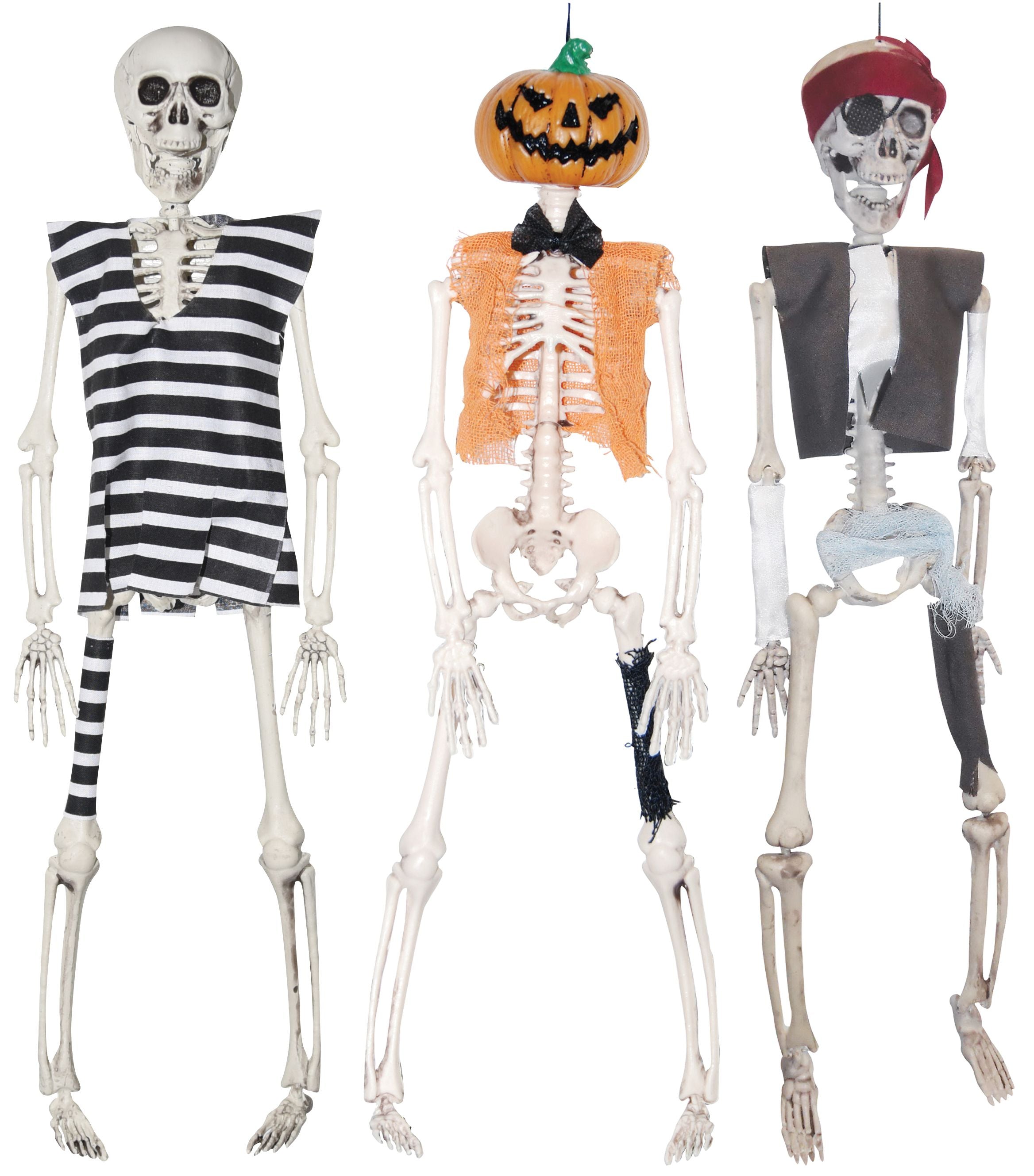 16" Skeleton