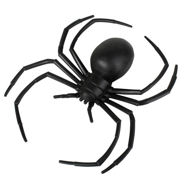 6" Black widow