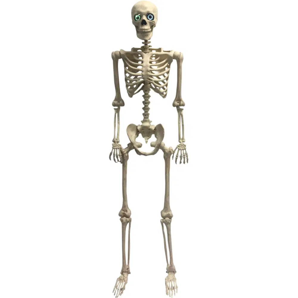 60" ANIMATED SKELETON MORPHING L/U EYES, TALKING