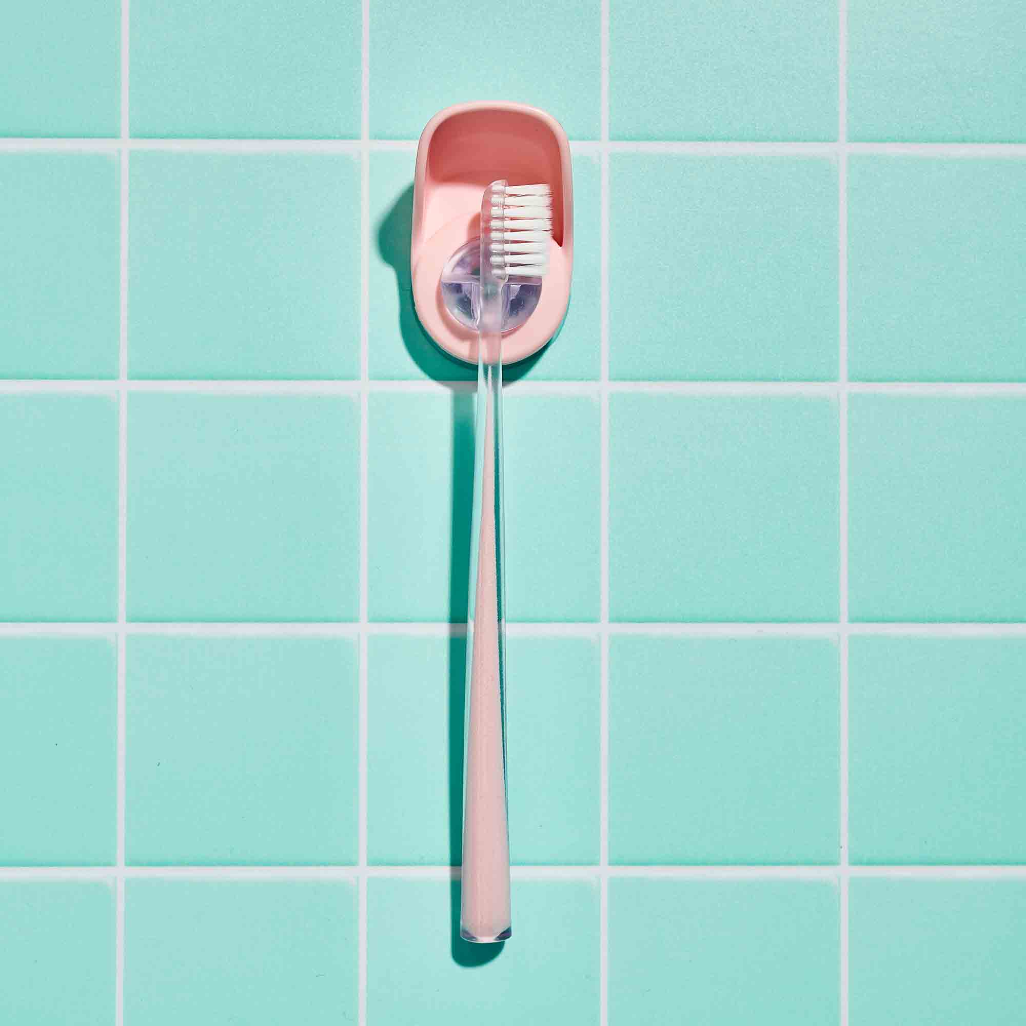 Suction Toothbrush Holder Blush